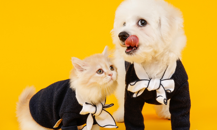 Cat whiskers Costumes