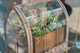 Terrarium Workshop