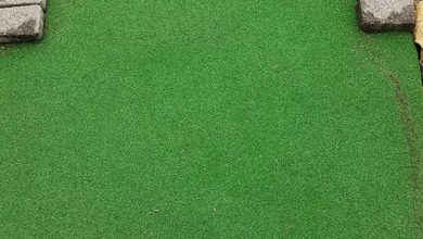 Photo of What Are Essential Ideas To Fix The Best Synthetic Grass Melbourne?
