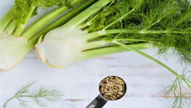 Photo of Fennel Seeds Advantages In Your Daily Health Diet