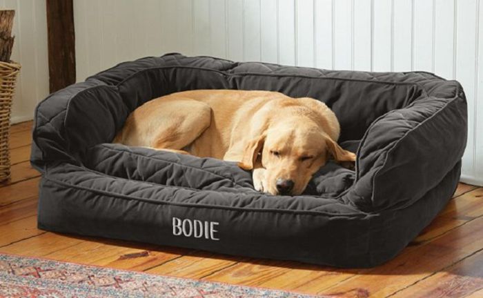 Bed Brands for the Dogs