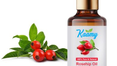 Photo of Rosehip Oil: Benefits and How to Utilize It On The Face