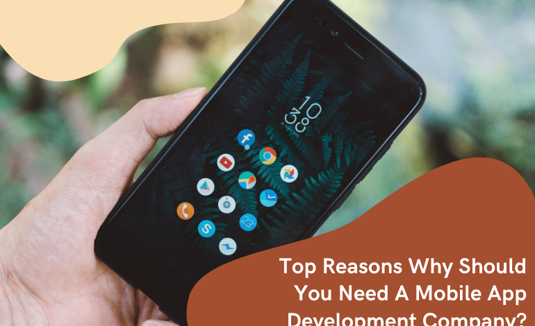 Top Reasons Why Should You Need A mobile App Development Company?