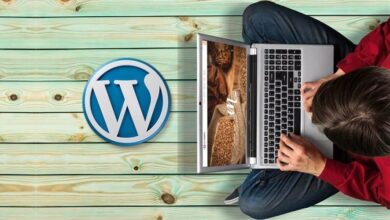 Photo of WordPress Courses