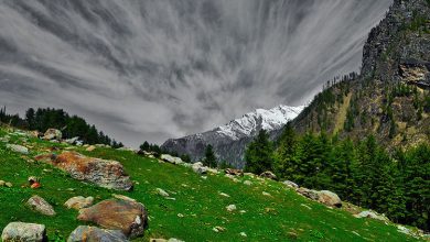 Photo of Best Trekking Places in Mumbai