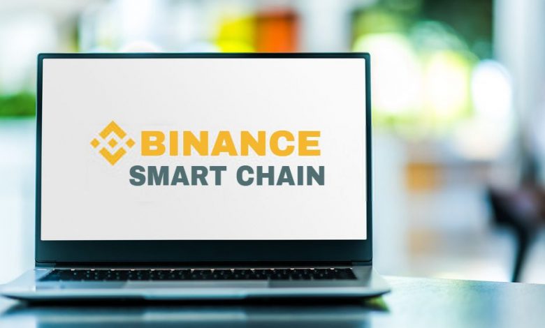 Binance Smart Chain Development