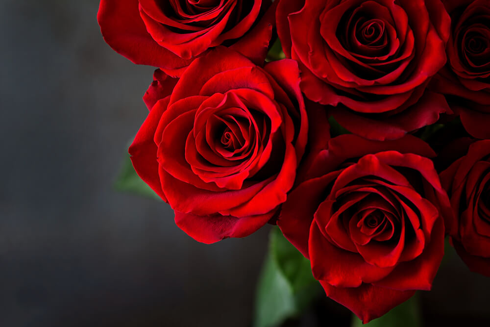 Online Rose Delivery Dubai