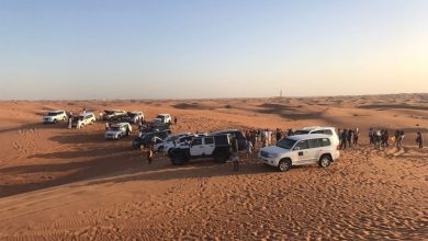 Photo of How to Choose the Best Dubai Desert Safari Tours