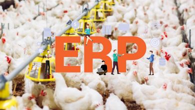 Photo of Benefits of ERP Software for Poultry Business