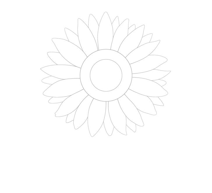 Sunflower background petals drawing