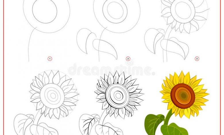 feature image of sunflower