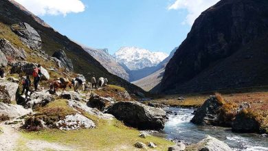 Photo of Easy Treks In Himachal Pradesh