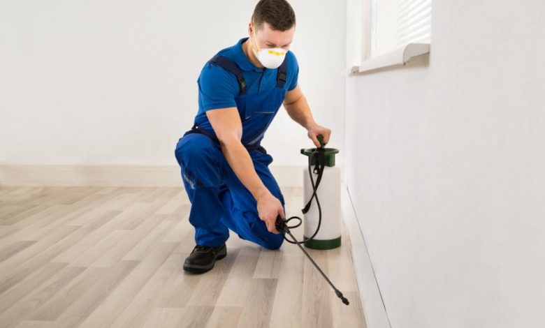 Why Is Commercial Pest Control in Vancouver an Important Concern?