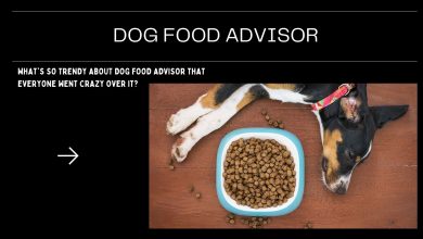 Photo of What’s So Trendy About Dog Food Advisor That Everyone Went Crazy