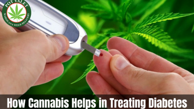 Photo of How Cannabis Helps in Treating Diabetes