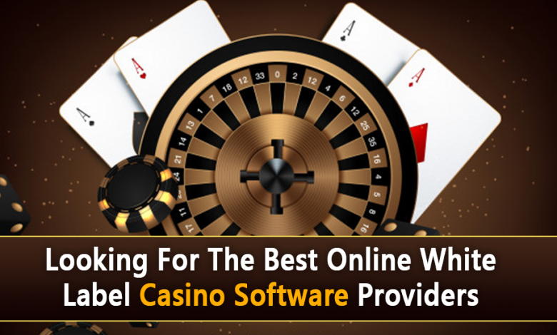 casino software providers