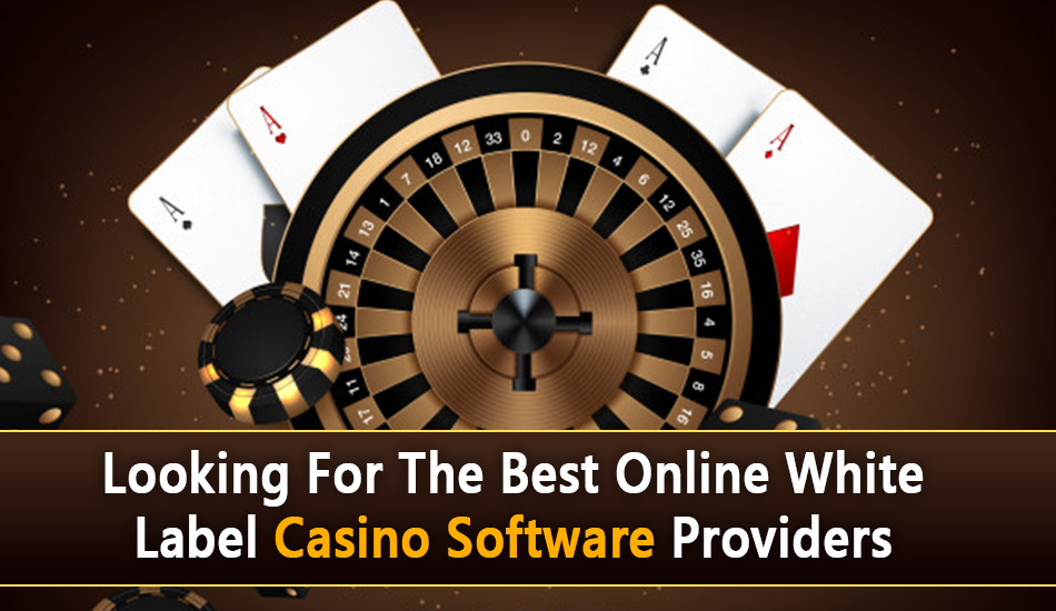 casino software providers