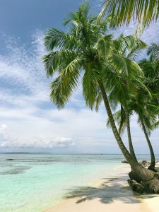 The Needle in the Cook Islands