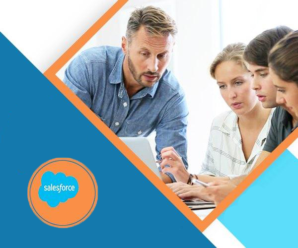 Salesforce Online Training in India