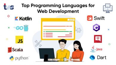 Photo of 10 Best Programming Language for web development