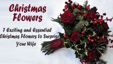Photo of 7 Exciting and Essential Christmas Flowers to Surprise your Wife