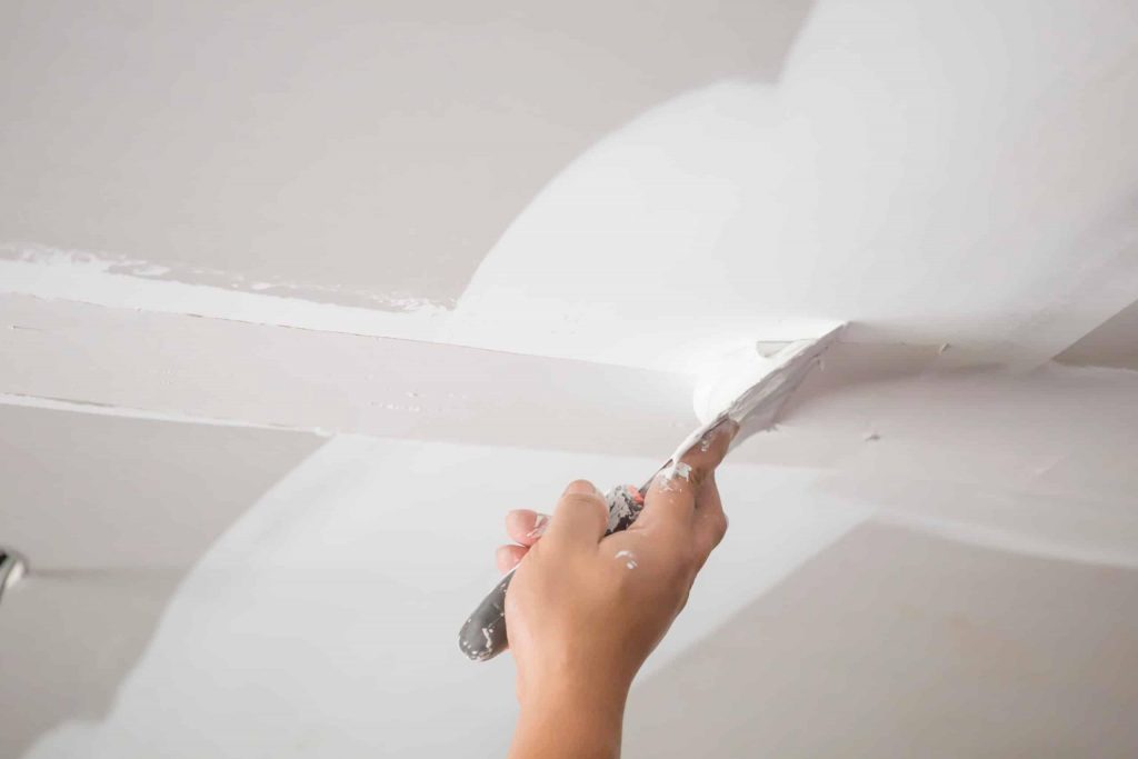 professional painting company surrey