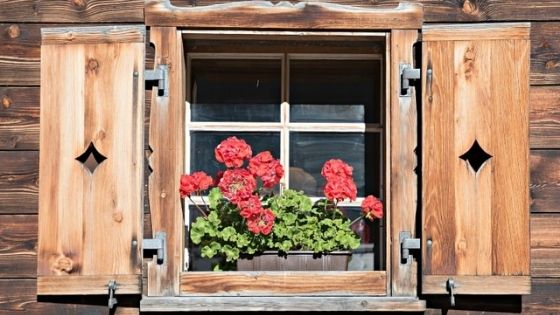 shed windows