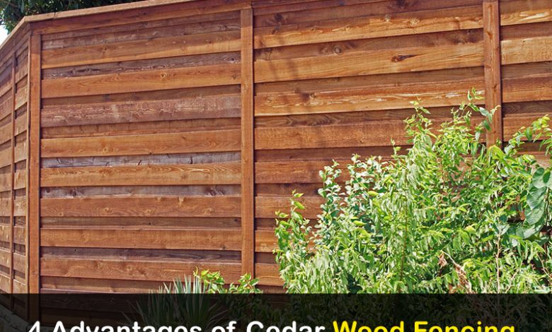 Cedar Wood Fencing