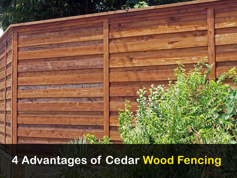 Cedar Wood Fencing