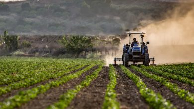 Photo of Crop diversification – The future of agriculture sector