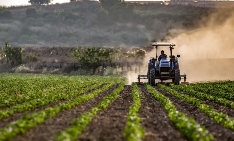 Crop diversification - The future of agriculture sector