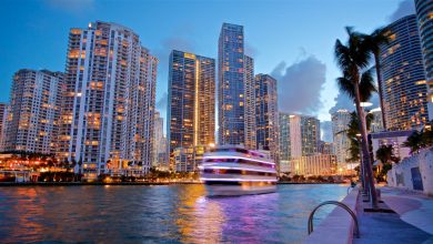 Photo of Explore the Reasons to visit Miami on your next vacation