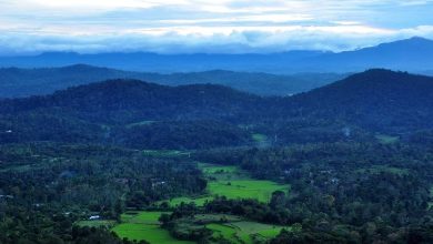 Photo of Top Hill Station Near Bangalore