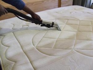 Carpet Cleaning Potomac