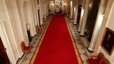 Photo of Best Red Carpets For Your Homes