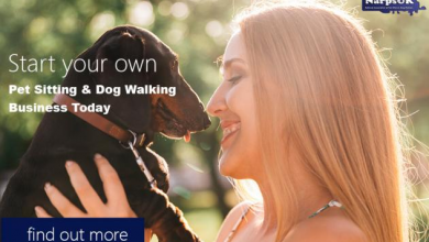 Photo of An Ultimate Guide to Starting Professional Dog Walking Business