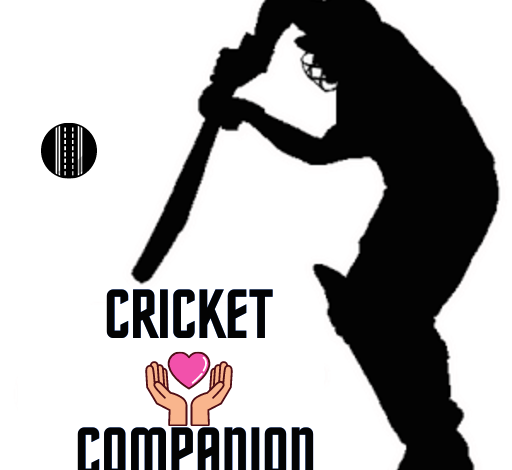 cricket companion