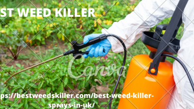 Photo of BEST WEED KILLER