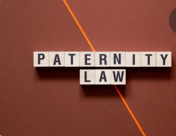 Paternity Attorney