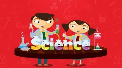 Photo of What Are Science Kits, And What Do These Kits Include?