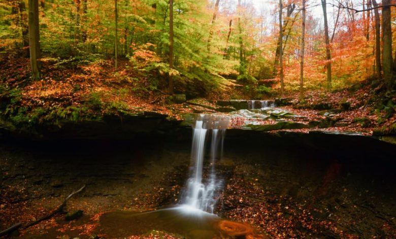 The Best Time to Visit the Cuyahoga Valley National Park