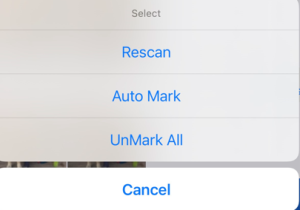 auto mark function