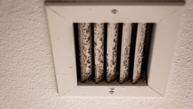 Photo of Mold In Your HVAC Unit What Are The Causes and Effects