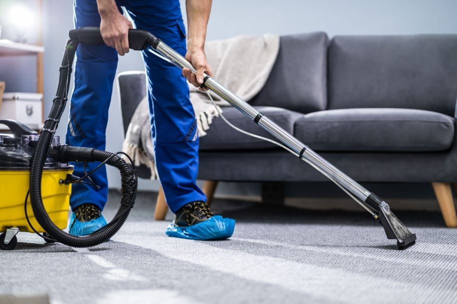 Best Carpet Cleaner Rental in Town