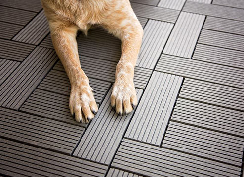 Flooring for pet