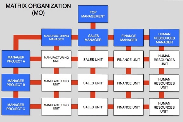 What is it like working in a matrix organization