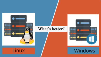 Photo of Linux shared Hosting Or Windows Shared Hosting –  What’s Better ?