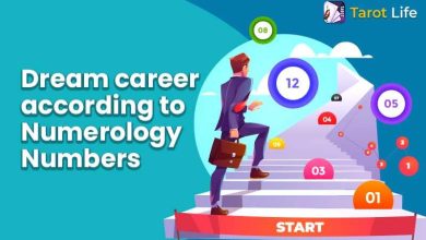 Photo of What is your Dream Career- Know From Your Numerology Numbers
