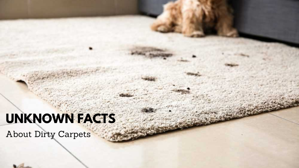 Carpet Cleaning Scarborough