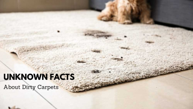 Photo of Unknown Facts About Dirty Carpets